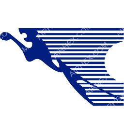 Congo Airways Symbol logo