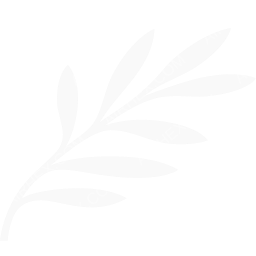 Cyprus Airways Symbol logo (dark)