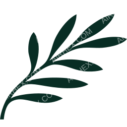 Cyprus Airways Symbol logo