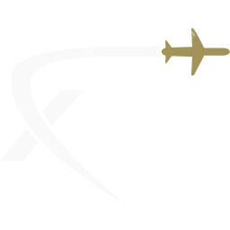 FlexFlight Symbol logo (dark)