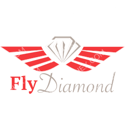 Fly Diamond Symbol logo