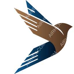 FlyDamas Symbol logo (dark)