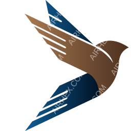 FlyDamas Symbol logo