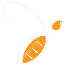 HiSky Symbol logo (dark)