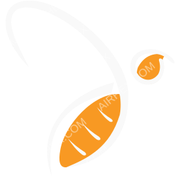 HiSky Europe Symbol logo (dark)