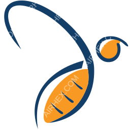 HiSky Europe Symbol logo