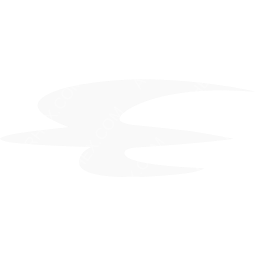 Iraqi Airways Symbol logo (dark)