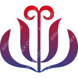 JC International Airlines Symbol logo (dark)