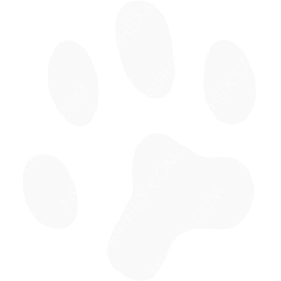 MAS Symbol logo (dark)