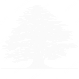 Middle East Airlines Symbol logo (dark)