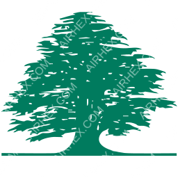 Middle East Airlines Symbol logo