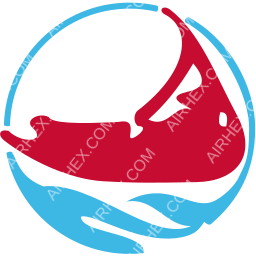 Nantucket Airlines Symbol logo (dark)