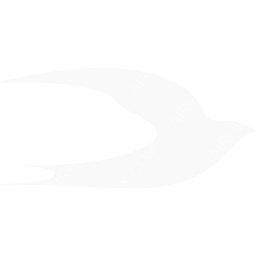 Neos Symbol logo (dark)