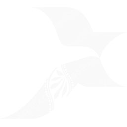 Nexus Airlines Symbol logo (dark)