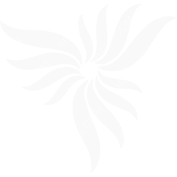 NordStar Symbol logo (dark)