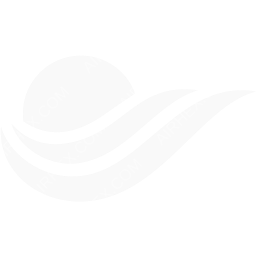 Nouvelair Symbol logo (dark)