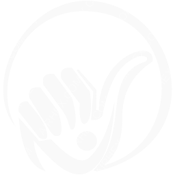 NOVA Airways Symbol logo (dark)