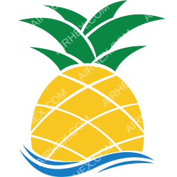 Pineapple Air Symbol logo (dark)