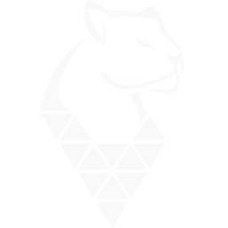 Raimon Airways Symbol logo (dark)