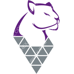 Raimon Airways Symbol logo