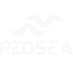 Red Sea Airlines Symbol logo (dark)