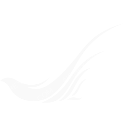 Saha Airlines Symbol logo (dark)