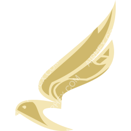 Shaheen Air Symbol logo