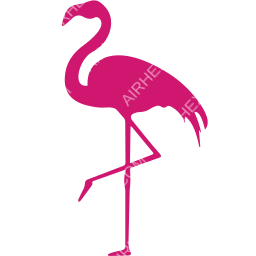 Silver Airways Symbol logo