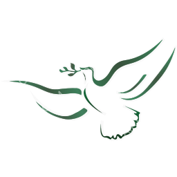 Southern Air Charter Symbol logo (dark)