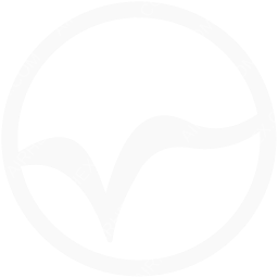 STP Airways Symbol logo (dark)