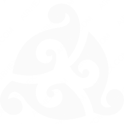 Tez Jet Airlines Symbol logo (dark)