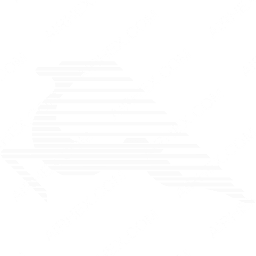 Tunisair Symbol logo (dark)