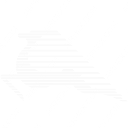 Tunisair Express Symbol logo (dark)