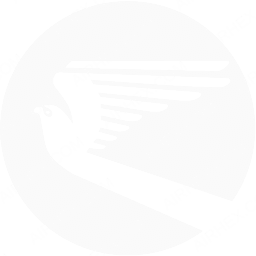 Turkmenistan Airlines Symbol logo (dark)