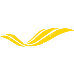 VOEPASS Linhas Aéreas Symbol logo (dark)