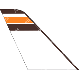 Bering Air Tail logo