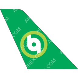 Binani Air Tail logo