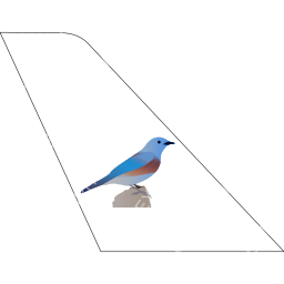 Bluebird Aviation Tail logo