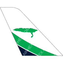 Divi Divi Air Tail logo (dark)