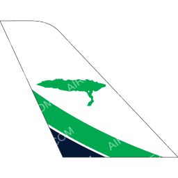 Divi Divi Air Tail logo