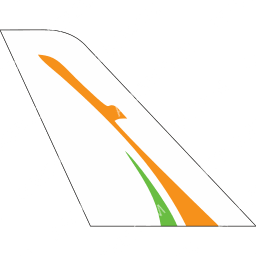 Niger Airlines Tail logo
