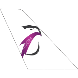 Sky Vision Airlines Tail logo