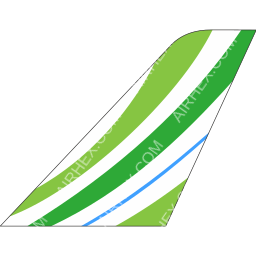 Binter Canarias Tailfin logo (dark)