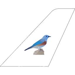 Bluebird Aviation Tailfin logo (dark)