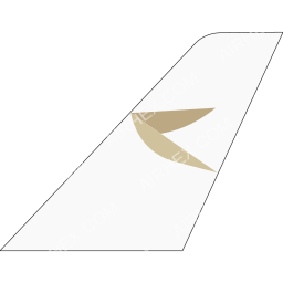 Fly Cham Tailfin logo (dark)