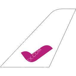 FlyBig Tailfin logo