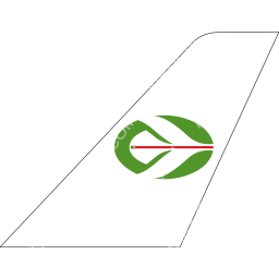 Tassili Airlines Tailfin logo