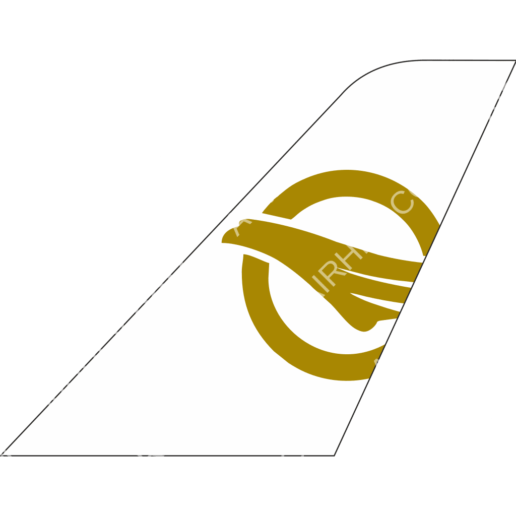 Fly Erbil tail logo