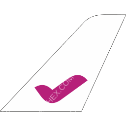 FlyBig tail logo dark
