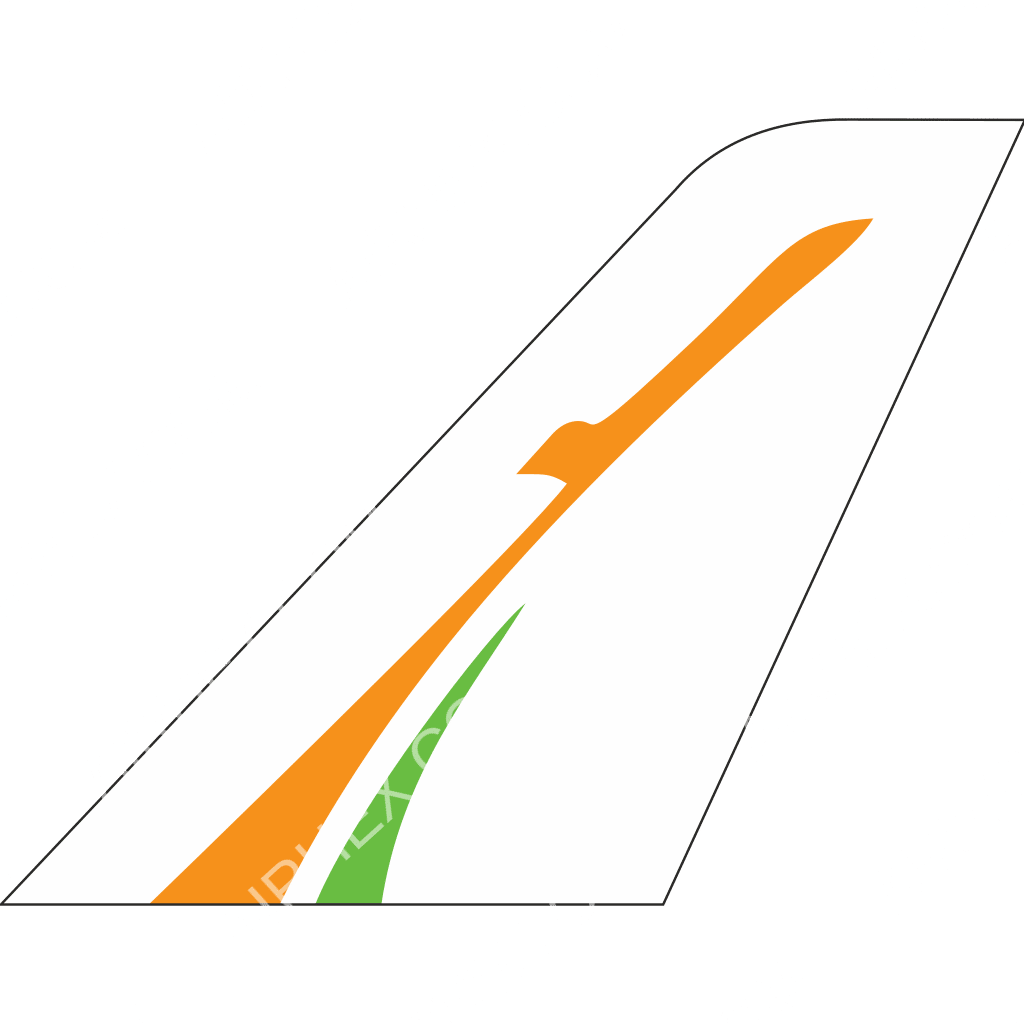 Niger Airlines logo (updated 2024) - Airhex